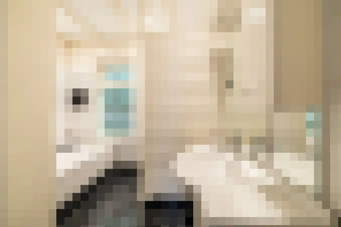 Raadhuisstraat 25 Oosthuizen thumbnail 50