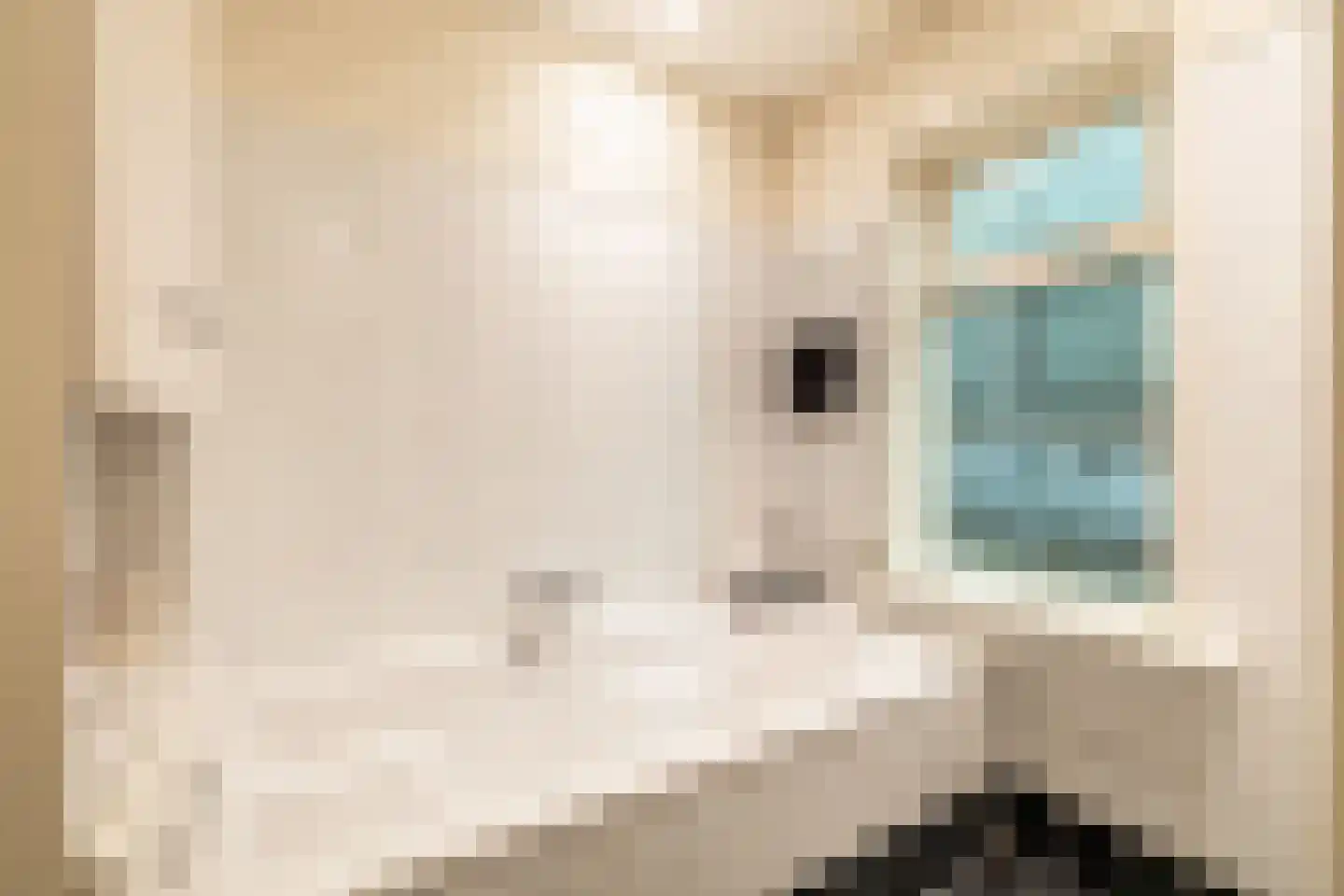 Raadhuisstraat 25 Oosthuizen thumbnail 51