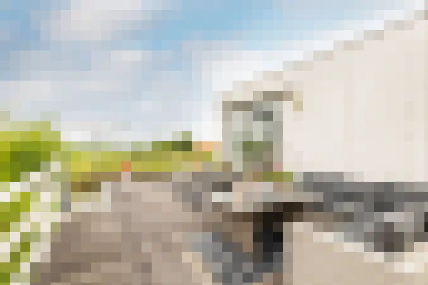 Raadhuisstraat 25 Oosthuizen thumbnail 56