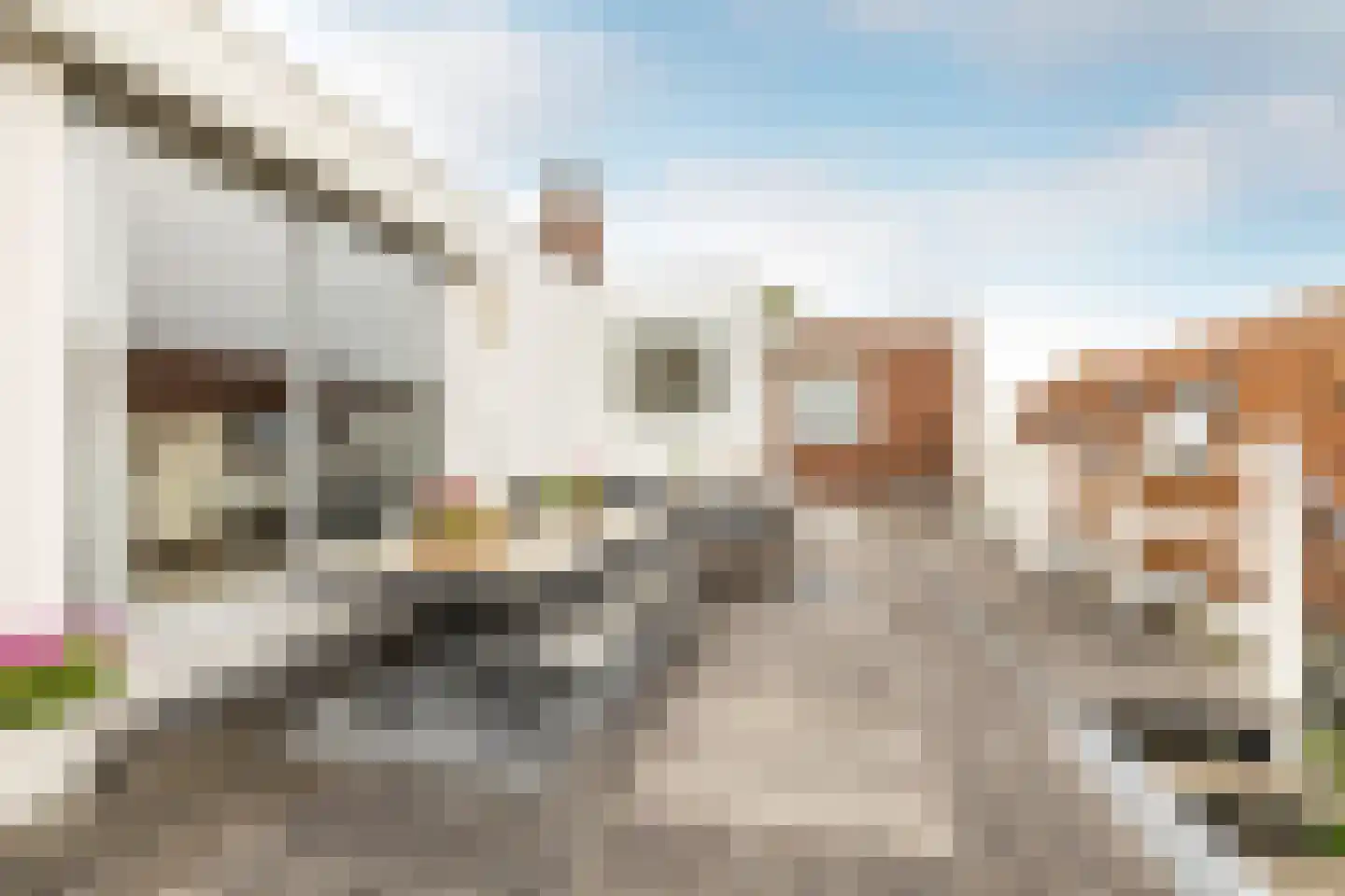 Raadhuisstraat 25 Oosthuizen thumbnail 59