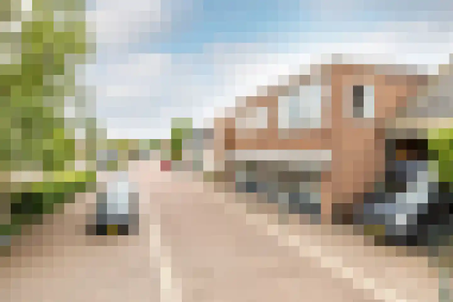 Raadhuisstraat 25 Oosthuizen thumbnail 62