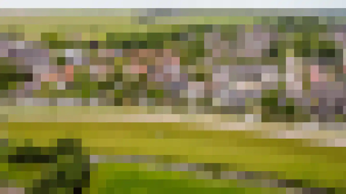 Raadhuisstraat 25 Oosthuizen thumbnail 65