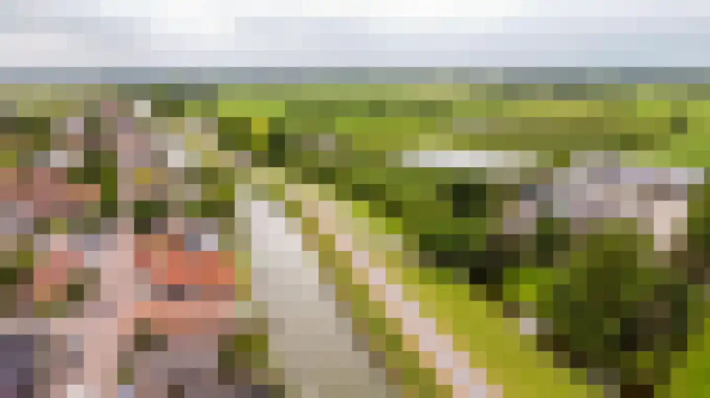 Raadhuisstraat 25 Oosthuizen thumbnail 68