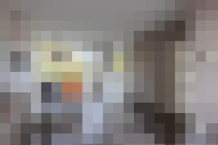 Raadhuisstraat 25 Rozenburg thumbnail 14