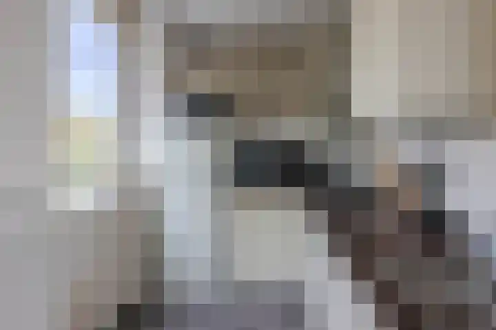 Raadhuisstraat 25 Rozenburg thumbnail 15