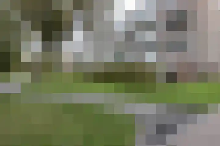 Raadhuisstraat 25 Rozenburg thumbnail 21