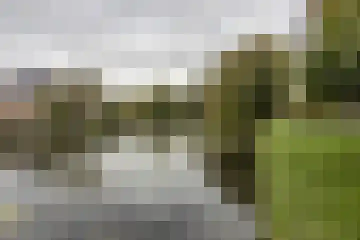 Raadhuisstraat 25 Rozenburg thumbnail 22