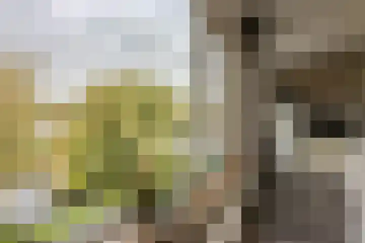 Raadhuisstraat 25 Rozenburg thumbnail 4