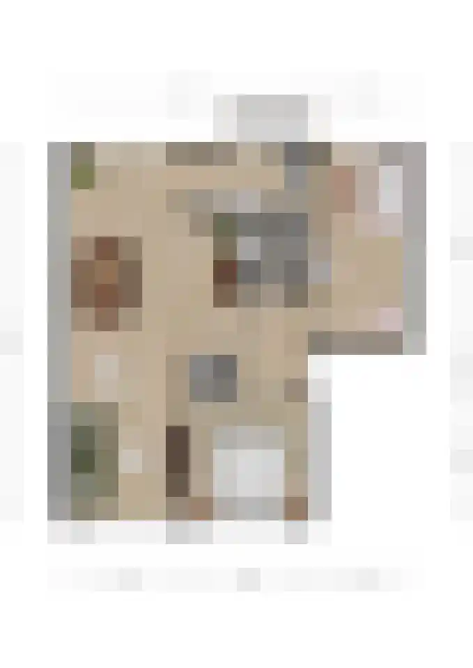 Raadhuisstraat 25 Rozenburg thumbnail 7