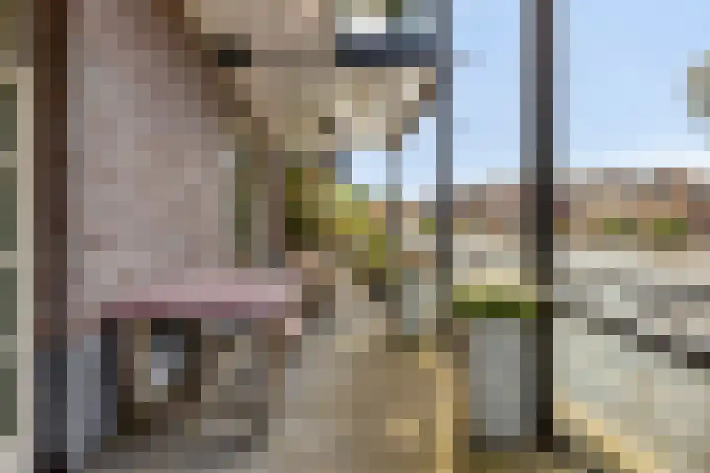 Raadhuisstraat 251 Alphen aan den Rijn thumbnail 30