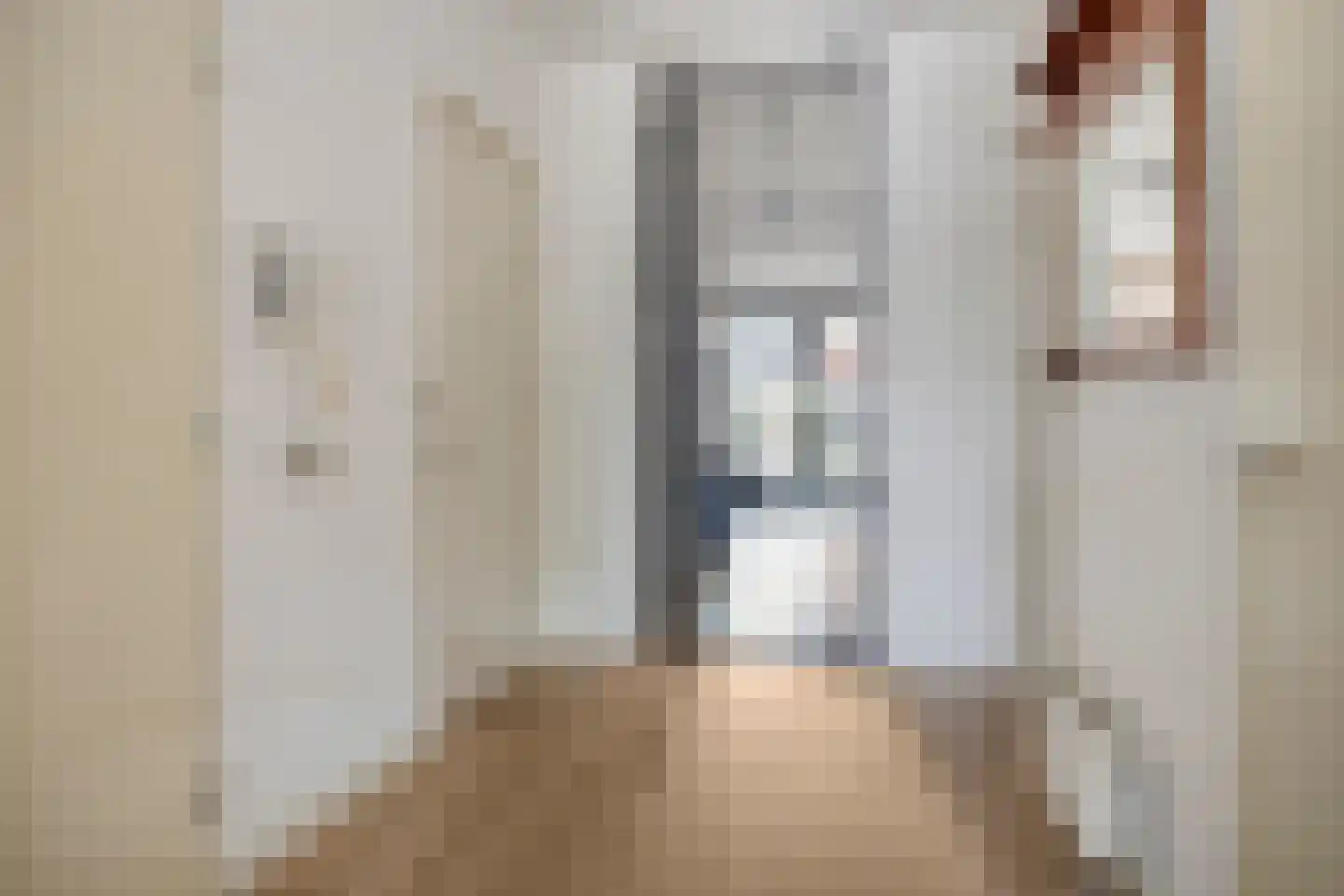 Raadhuisstraat 251 Alphen aan den Rijn thumbnail 32