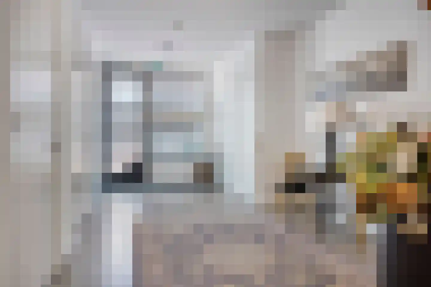 Raadhuisstraat 251 Alphen aan den Rijn thumbnail 4