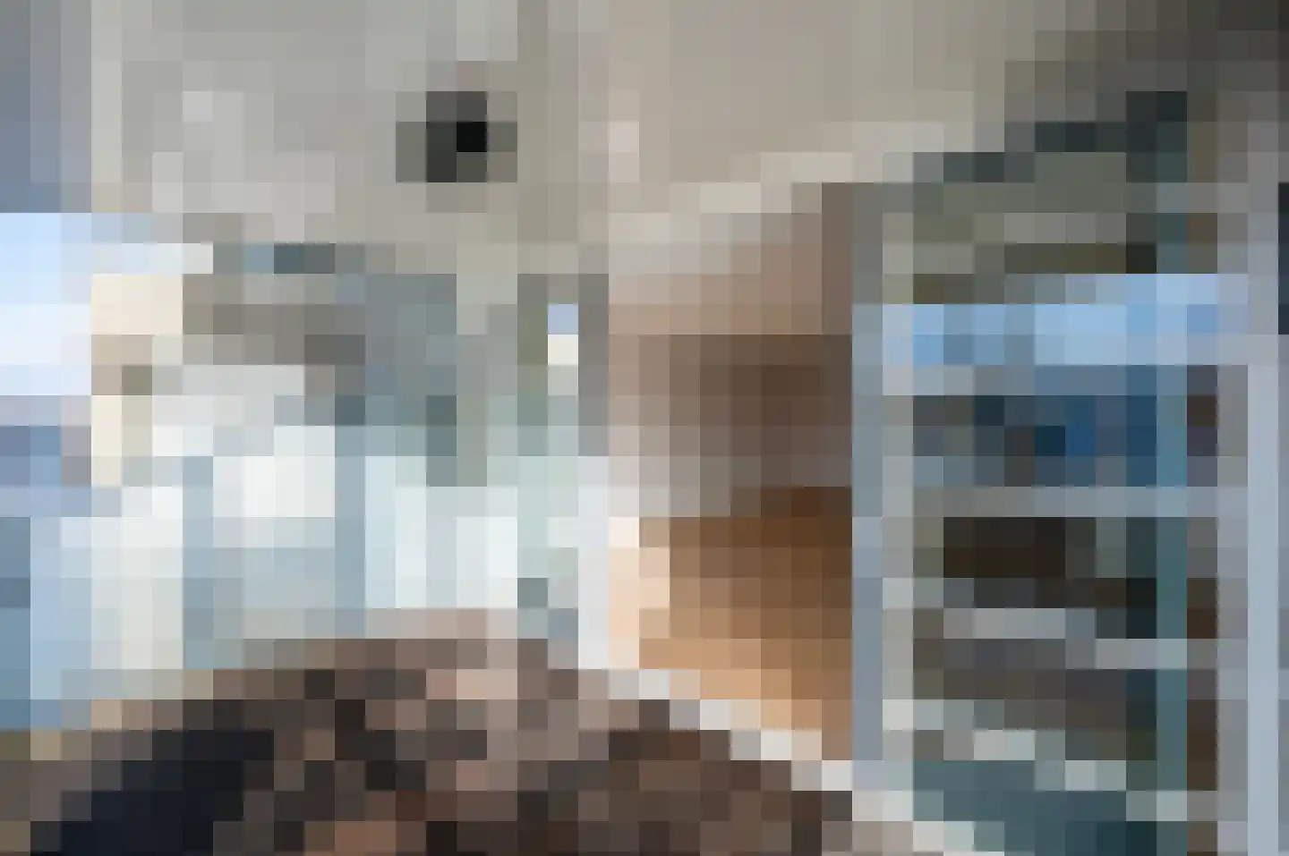Raadhuisstraat 251 D Alphen aan den Rijn thumbnail 17