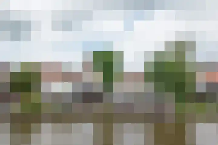 Raadhuisstraat 253 C Alphen aan den Rijn thumbnail 16
