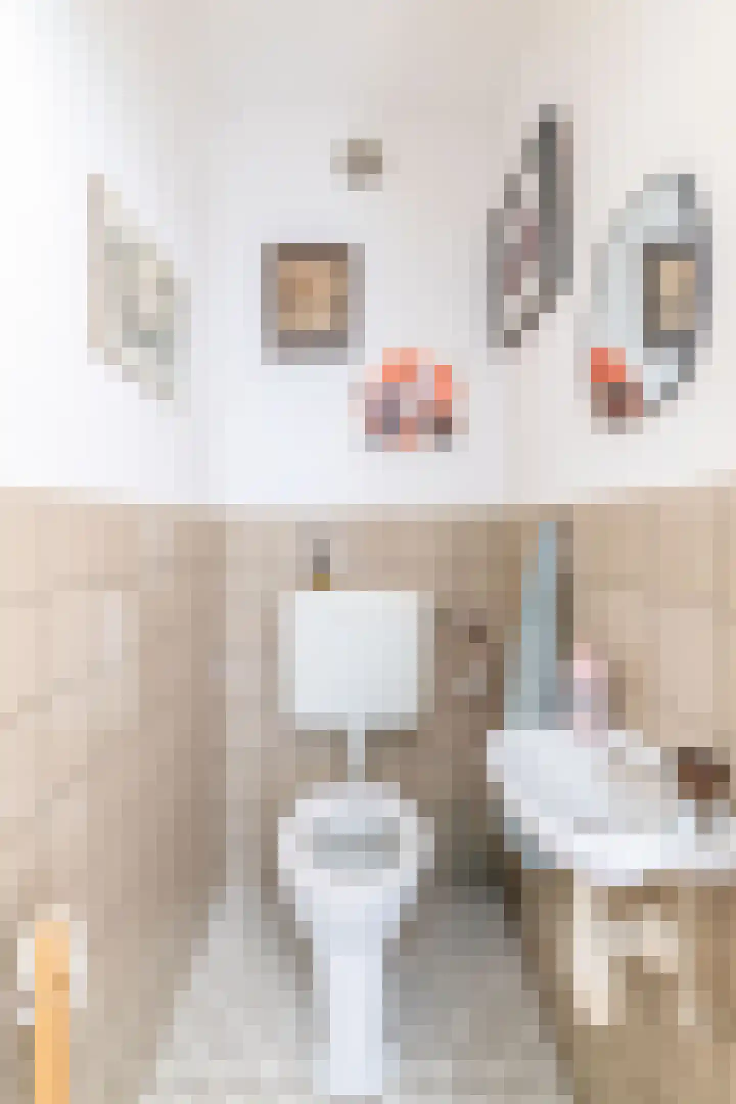 Raadhuisstraat 26 Deurne thumbnail 17