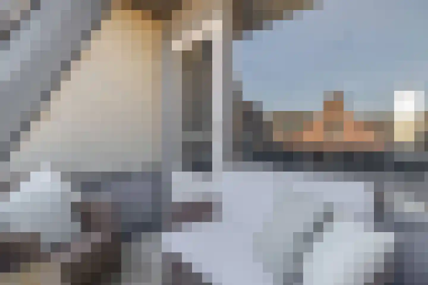 Raadhuisstraat 26 Deurne thumbnail 35