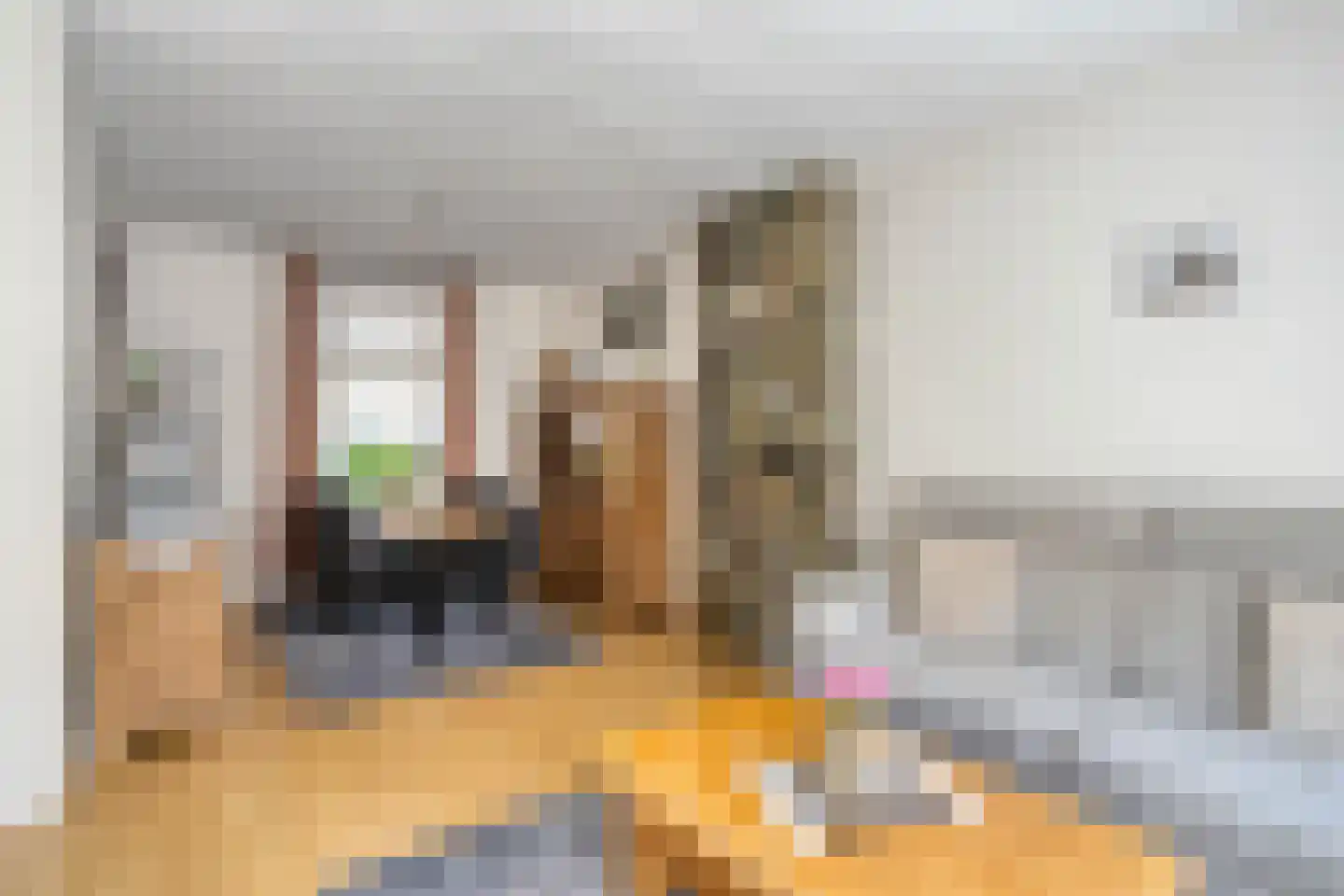 Raadhuisstraat 26 Maasbracht thumbnail 10