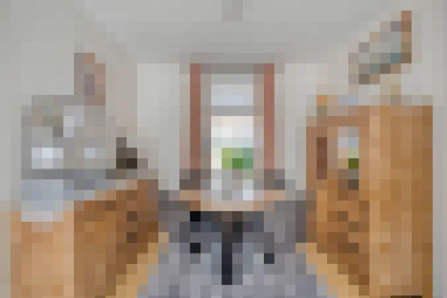 Raadhuisstraat 26 Maasbracht thumbnail 11