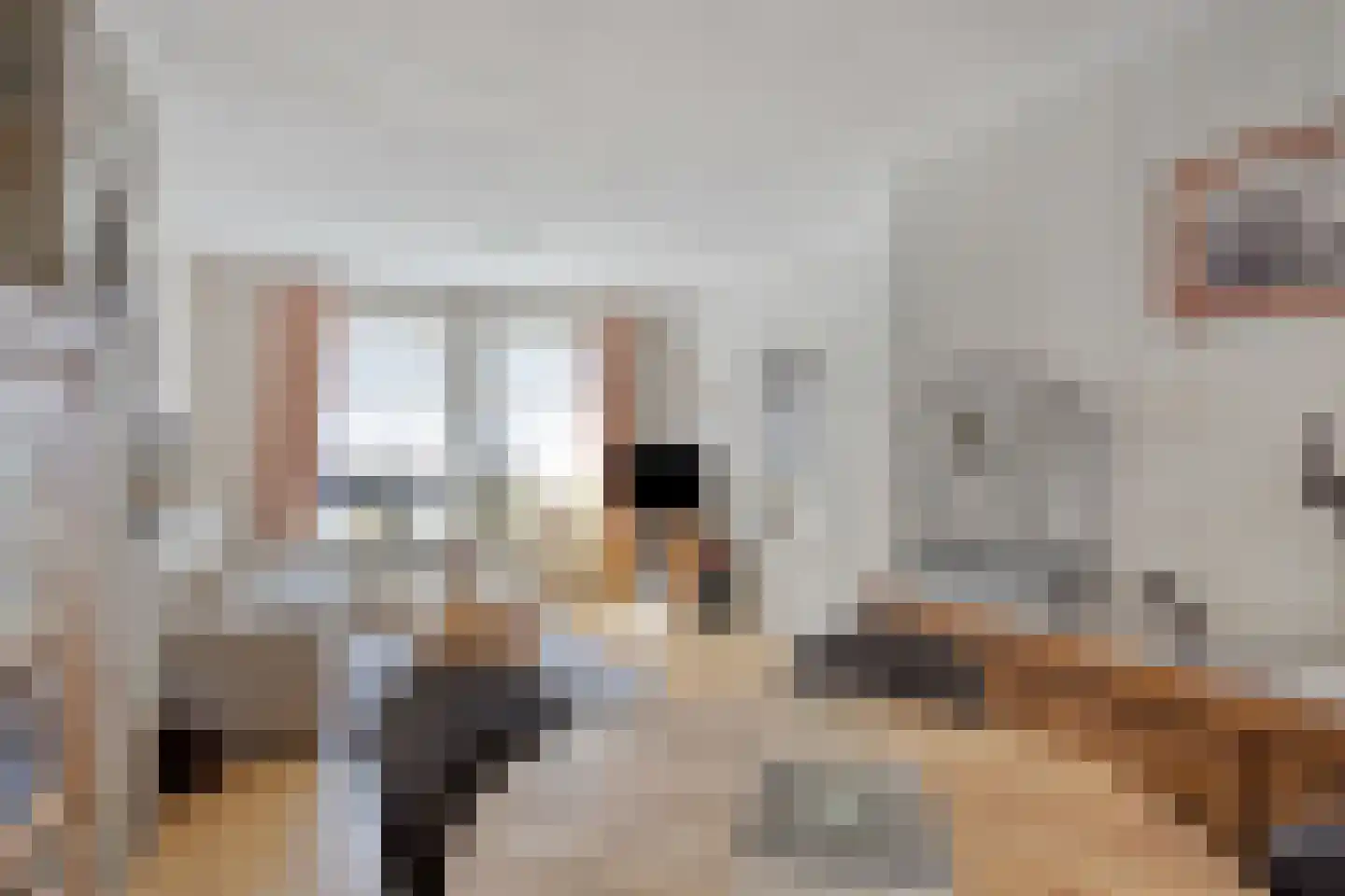Raadhuisstraat 26 Maasbracht thumbnail 12