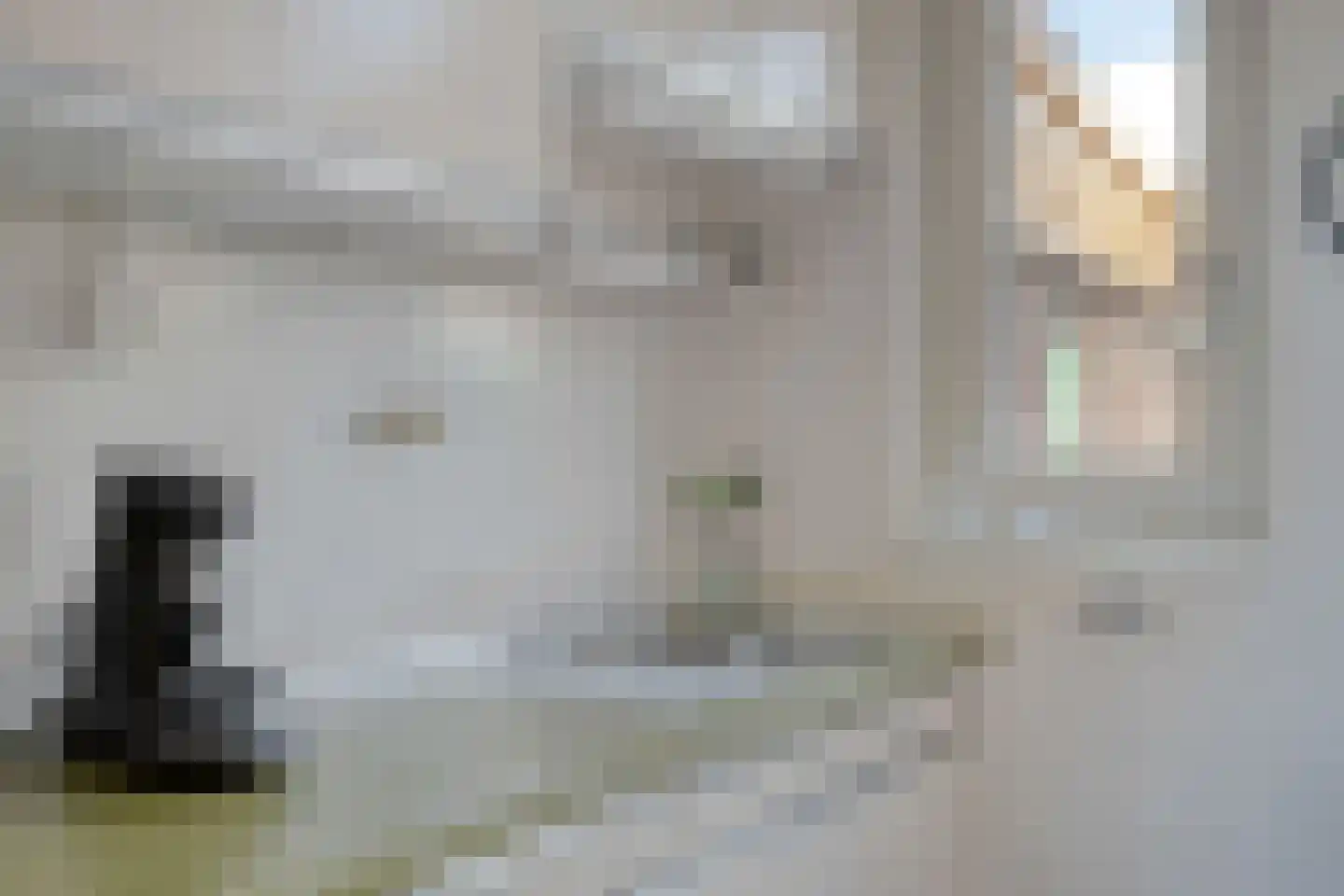 Raadhuisstraat 26 Maasbracht thumbnail 14