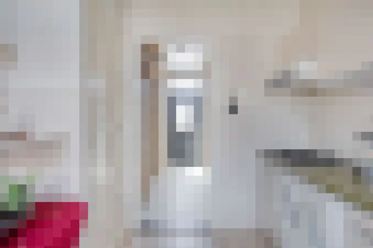 Raadhuisstraat 26 Maasbracht thumbnail 15