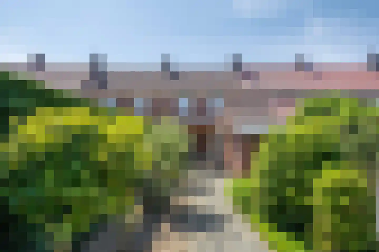 Raadhuisstraat 26 Maasbracht thumbnail 31