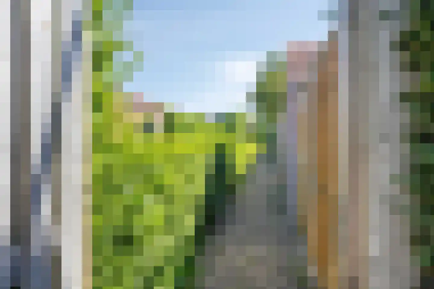 Raadhuisstraat 26 Maasbracht thumbnail 33
