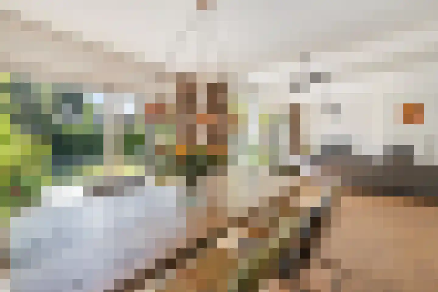 Raadhuisstraat 26 Nigtevecht thumbnail 17