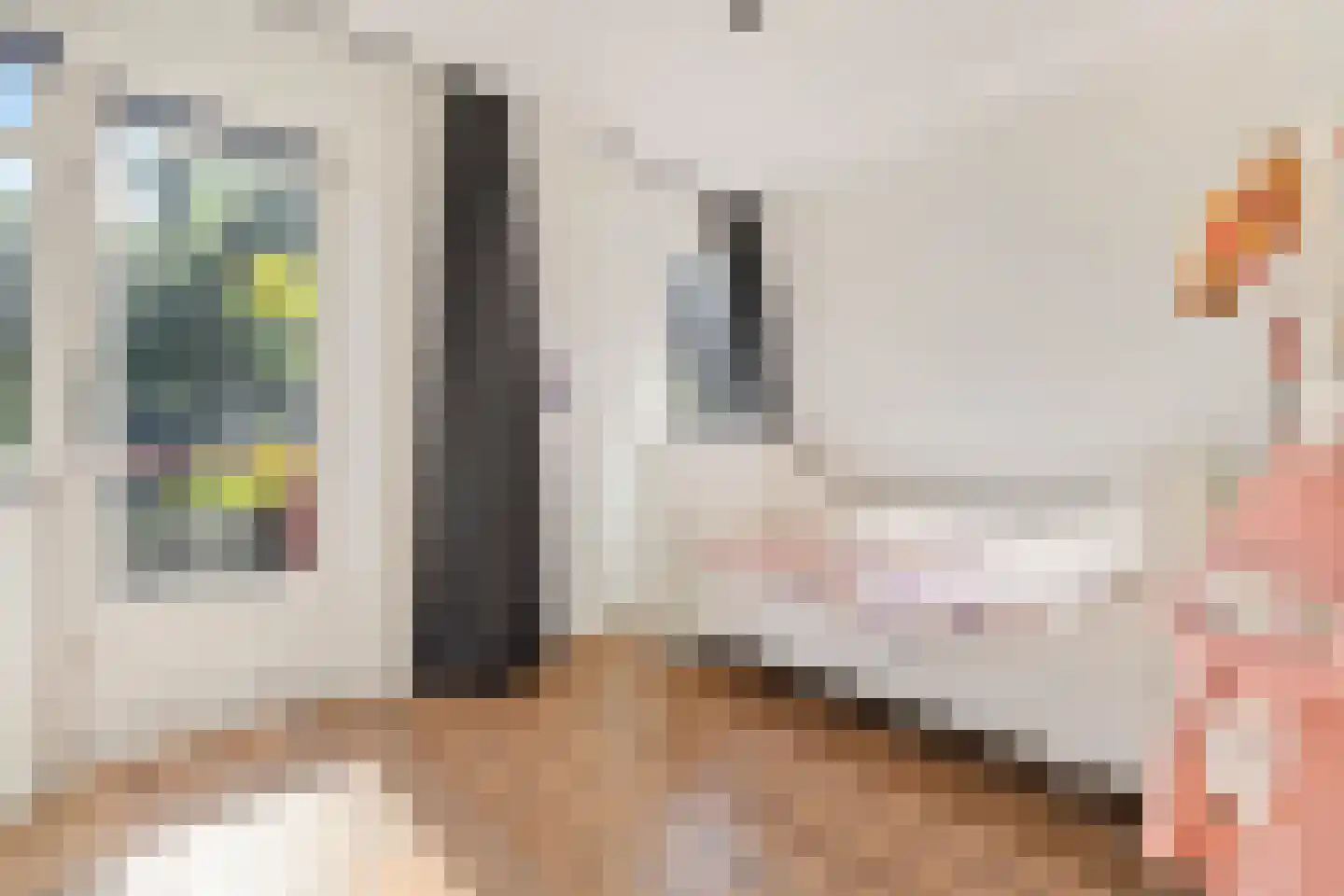 Raadhuisstraat 26 Nigtevecht thumbnail 30