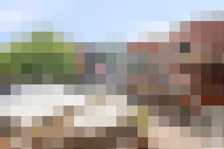 Raadhuisstraat 26 Panningen thumbnail 32