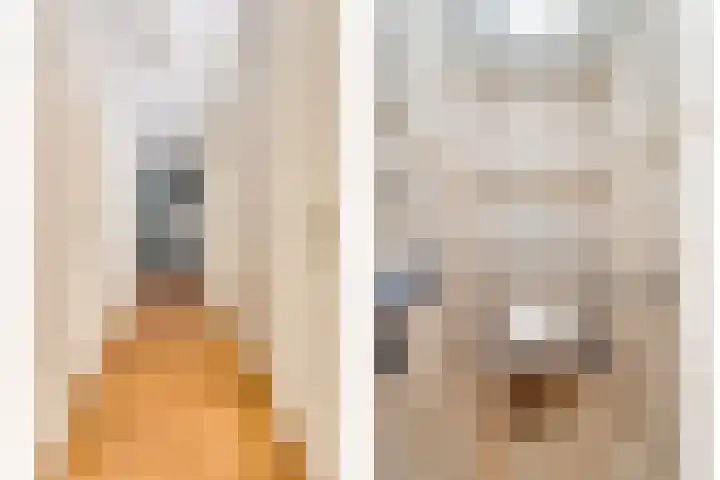 Raadhuisstraat 26 Panningen thumbnail 6