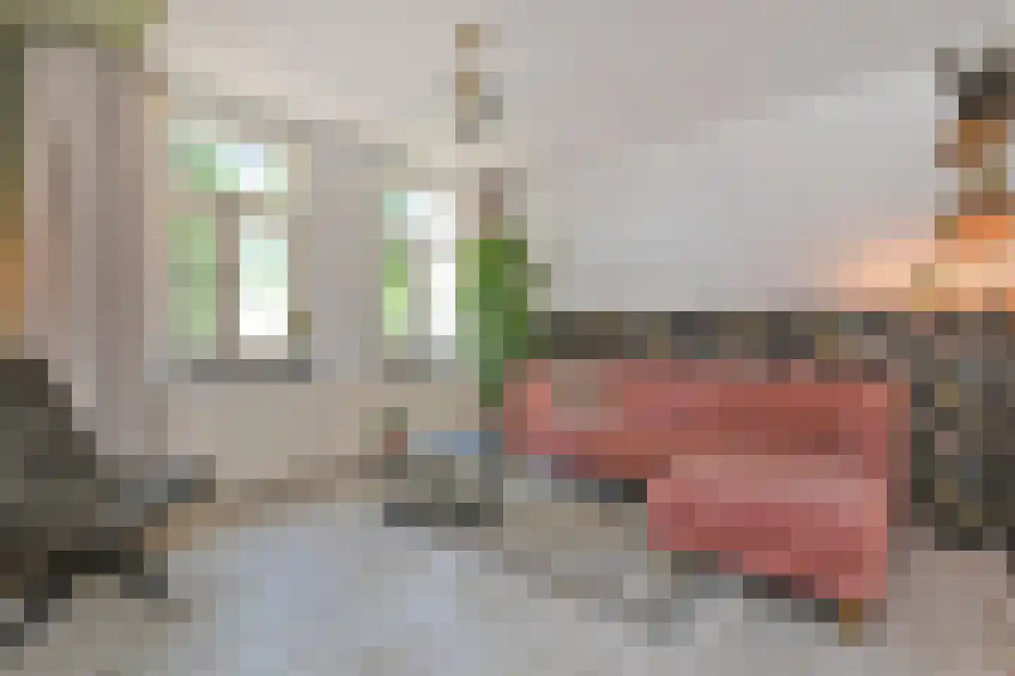 Raadhuisstraat 27 Bergambacht thumbnail 11