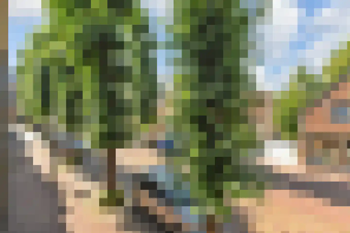 Raadhuisstraat 27 Bergambacht thumbnail 12
