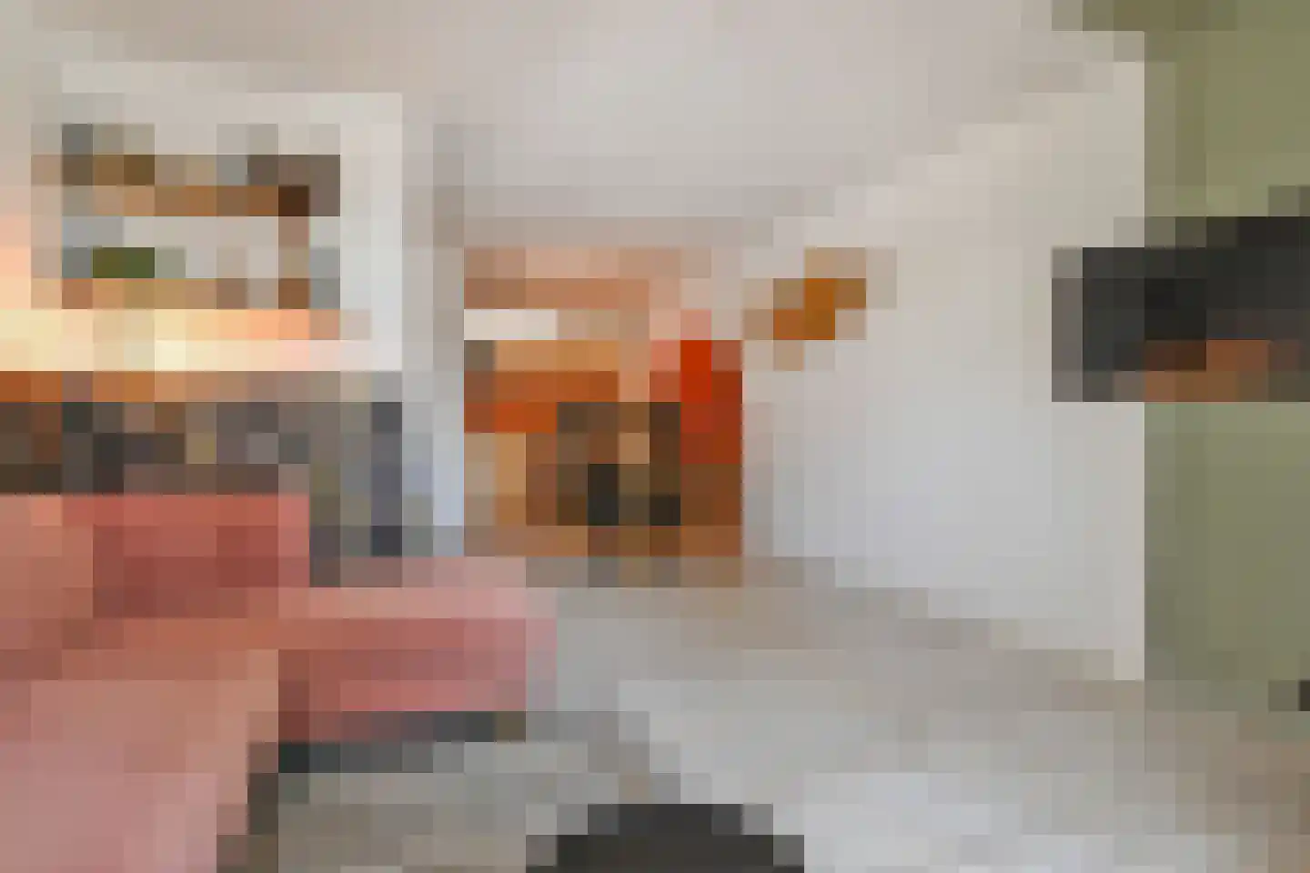 Raadhuisstraat 27 Bergambacht thumbnail 13