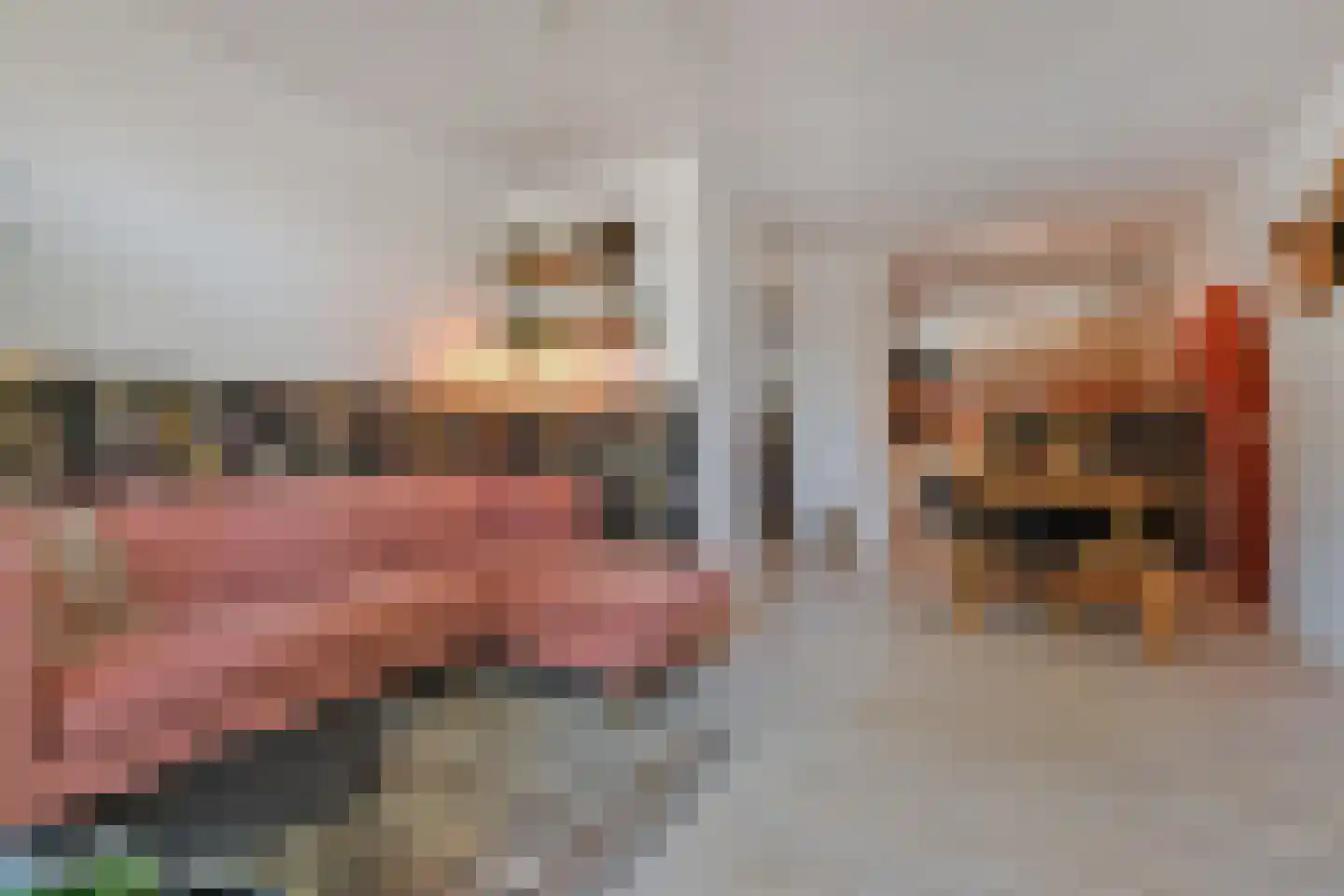 Raadhuisstraat 27 Bergambacht thumbnail 14