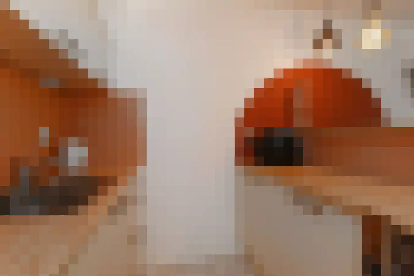 Raadhuisstraat 27 Bergambacht thumbnail 17