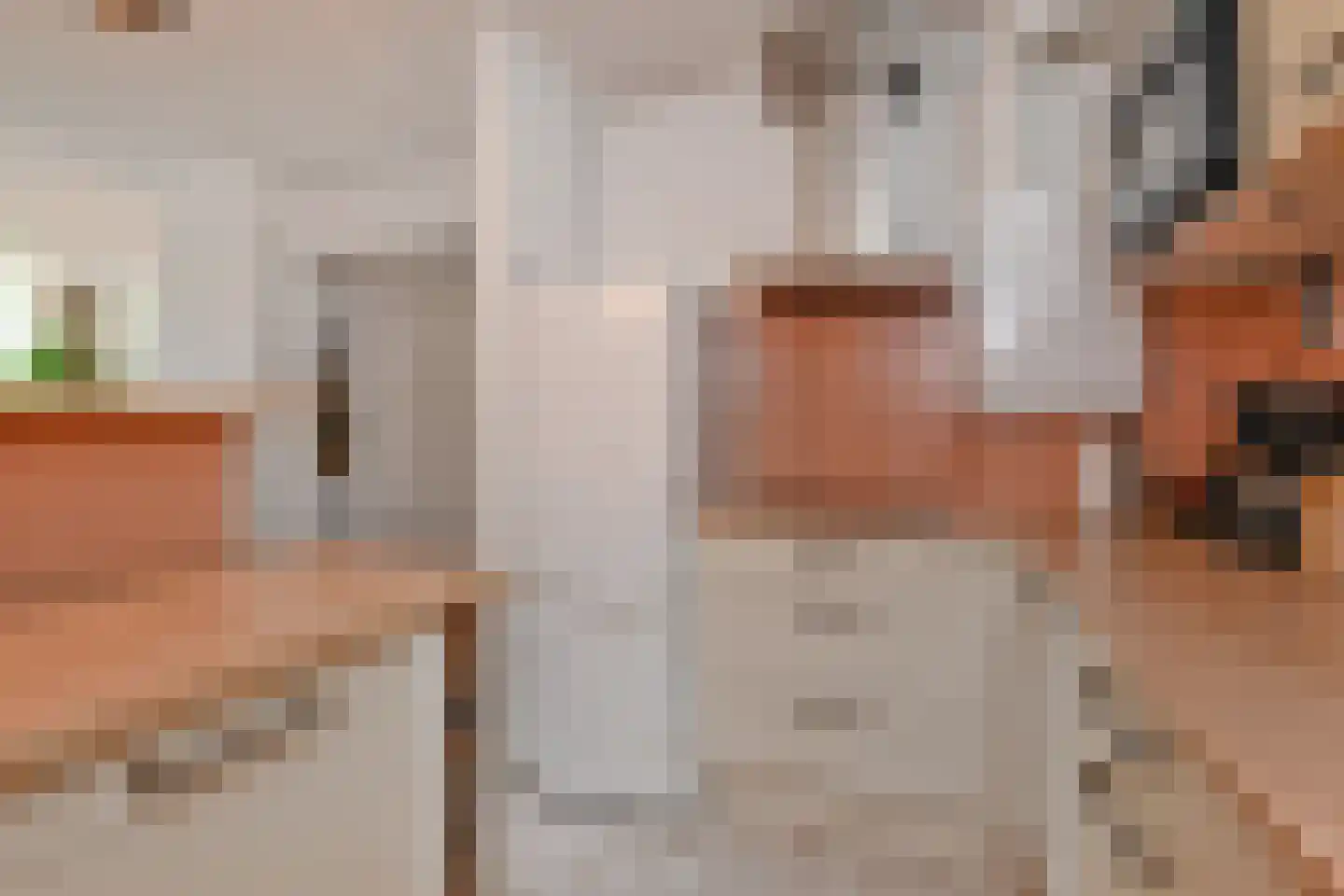 Raadhuisstraat 27 Bergambacht thumbnail 18