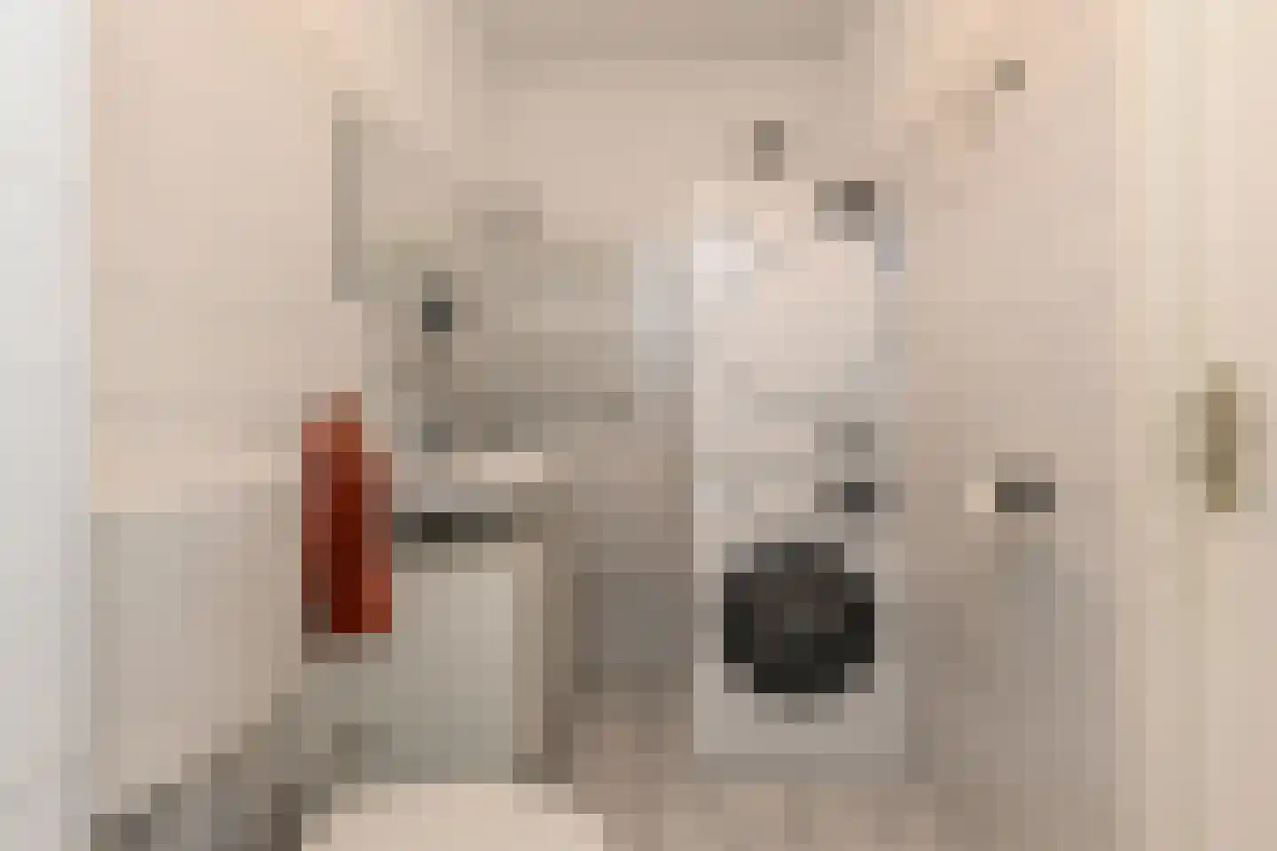 Raadhuisstraat 27 Bergambacht thumbnail 21