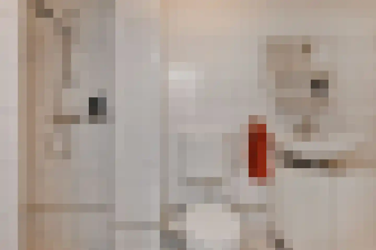 Raadhuisstraat 27 Bergambacht thumbnail 22