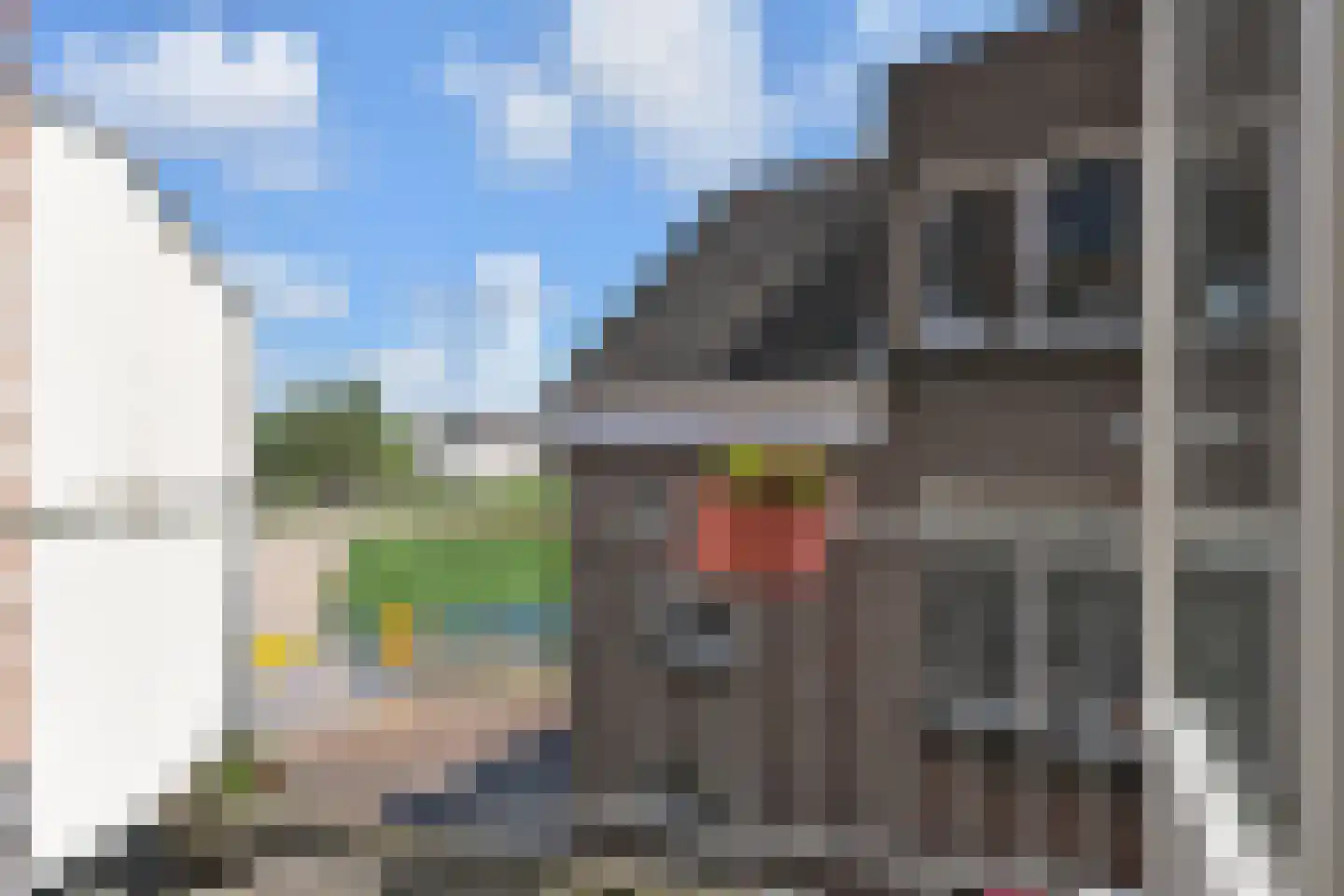 Raadhuisstraat 27 Bergambacht thumbnail 28