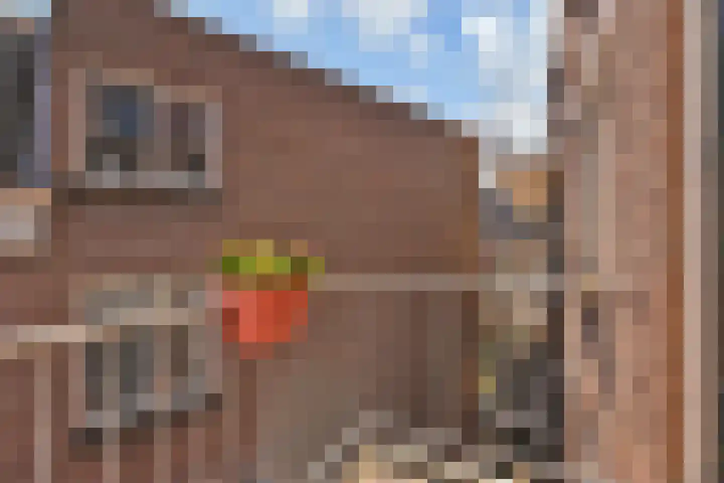 Raadhuisstraat 27 Bergambacht thumbnail 30