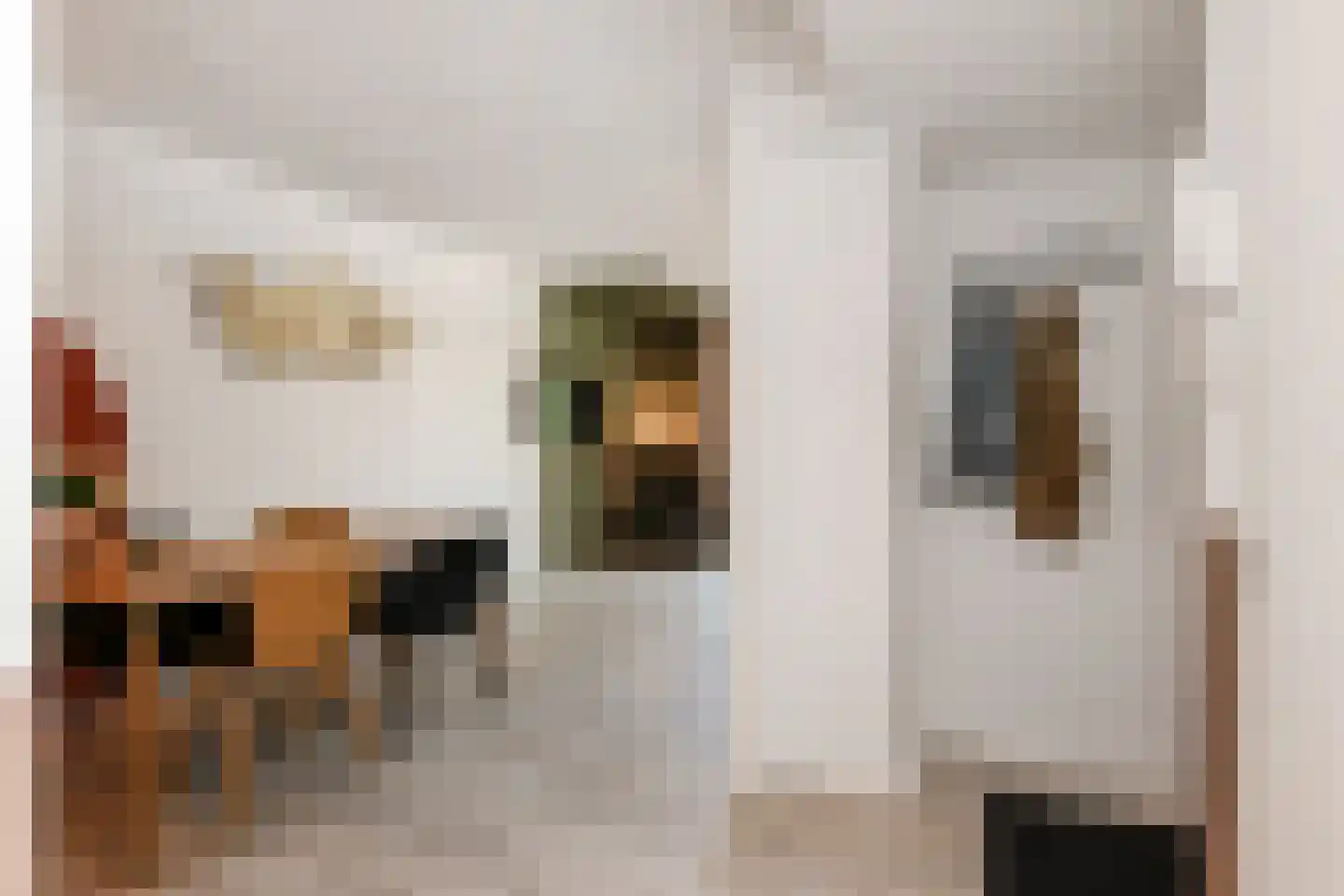 Raadhuisstraat 27 Bergambacht thumbnail 9
