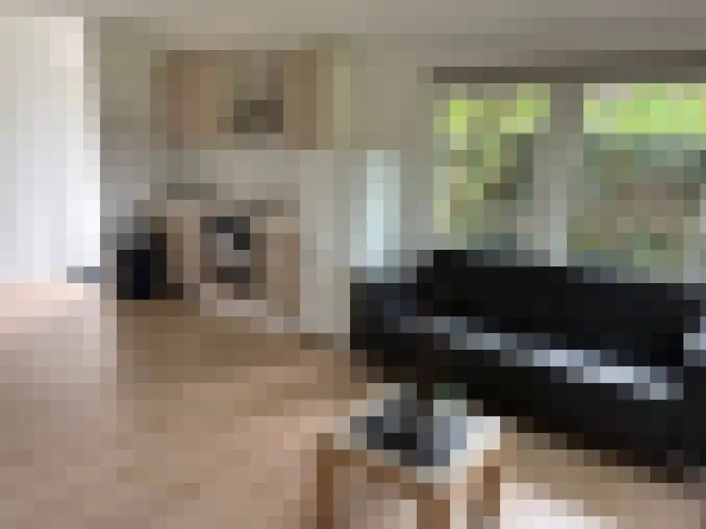 Raadhuisstraat 27 h107 Dirkshorn thumbnail 10