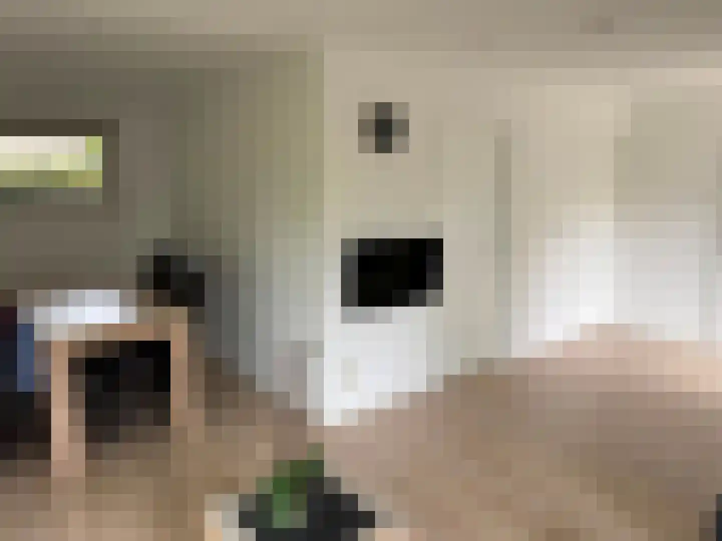 Raadhuisstraat 27 h107 Dirkshorn thumbnail 11
