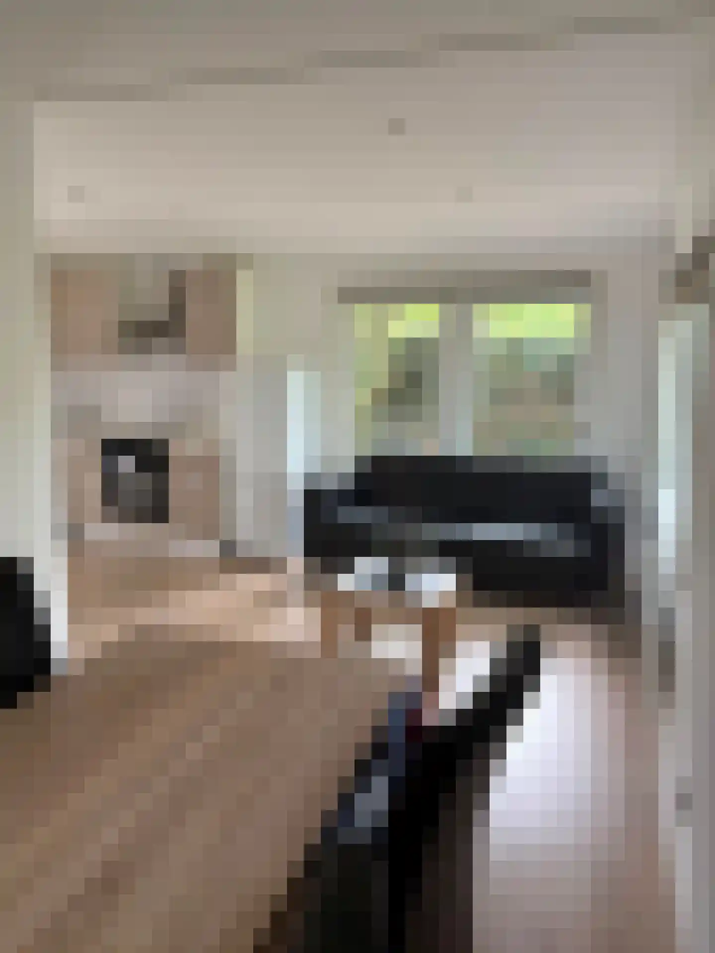 Raadhuisstraat 27 h107 Dirkshorn thumbnail 13