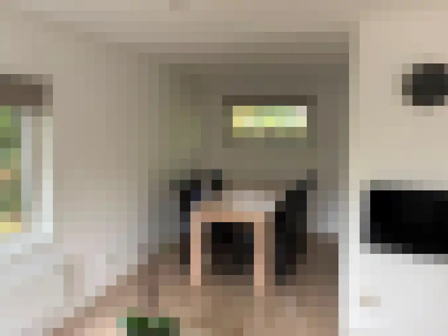 Raadhuisstraat 27 h107 Dirkshorn thumbnail 14