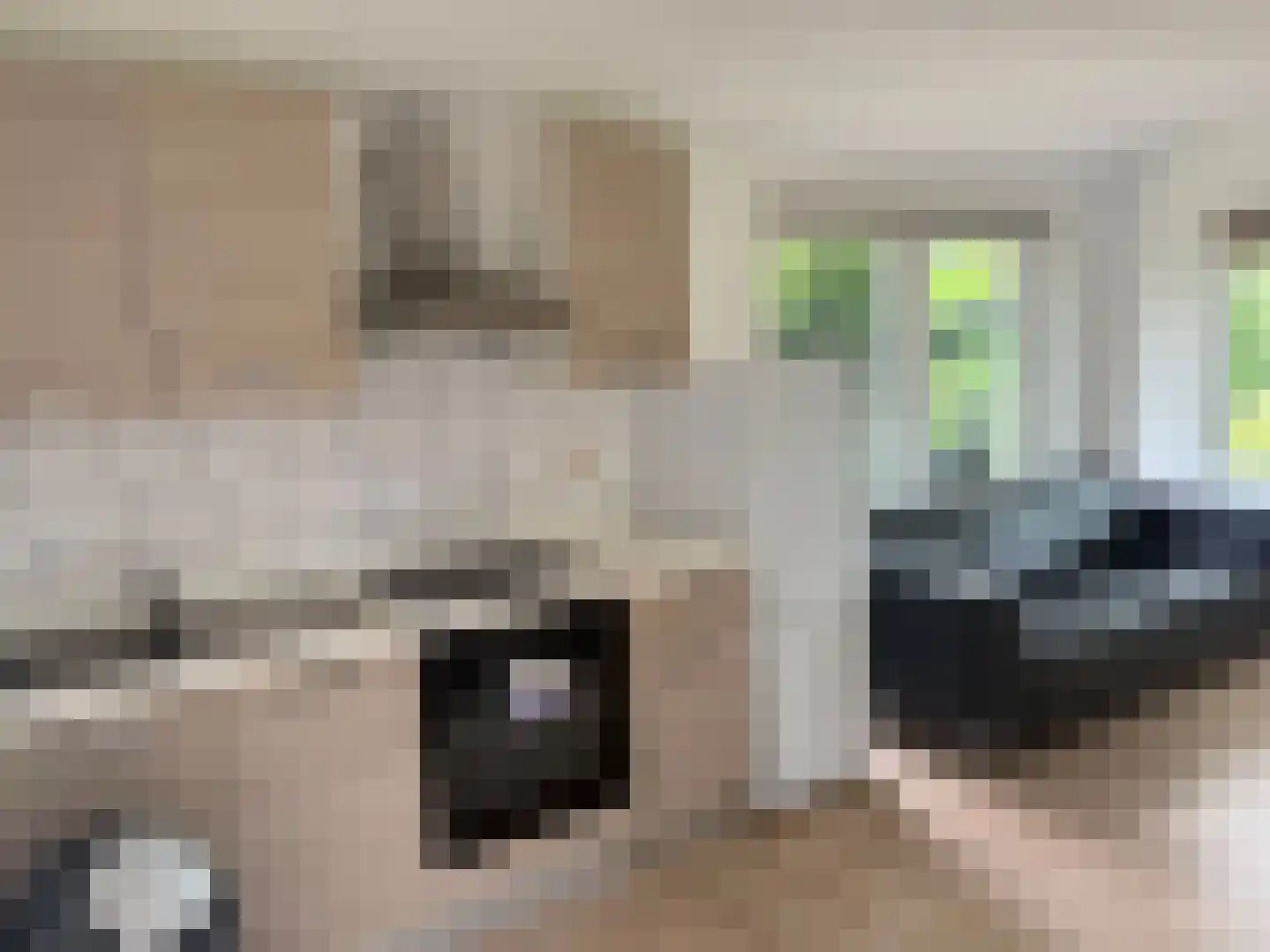 Raadhuisstraat 27 h107 Dirkshorn thumbnail 16