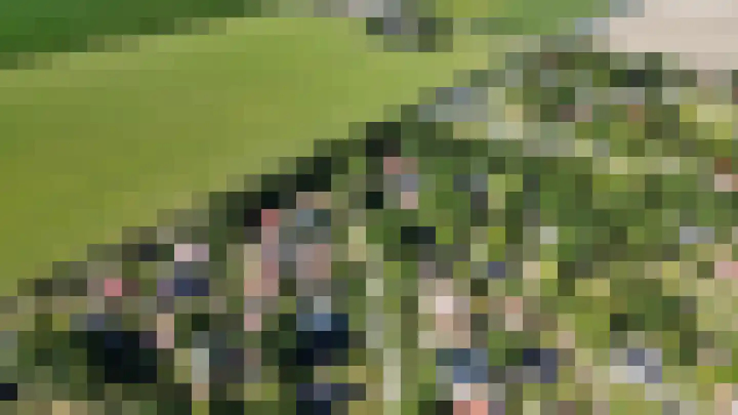 Raadhuisstraat 27 h107 Dirkshorn thumbnail 34