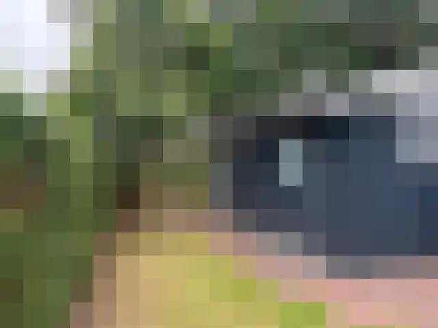 Raadhuisstraat 27 h107 Dirkshorn thumbnail 5