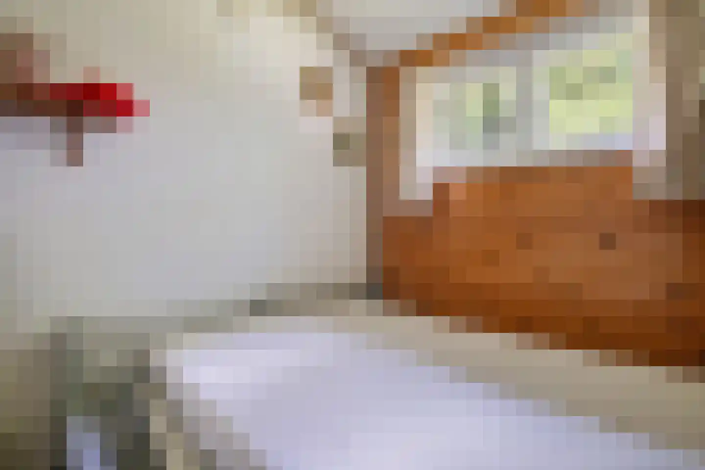 Raadhuisstraat 27 h111 Dirkshorn thumbnail 24